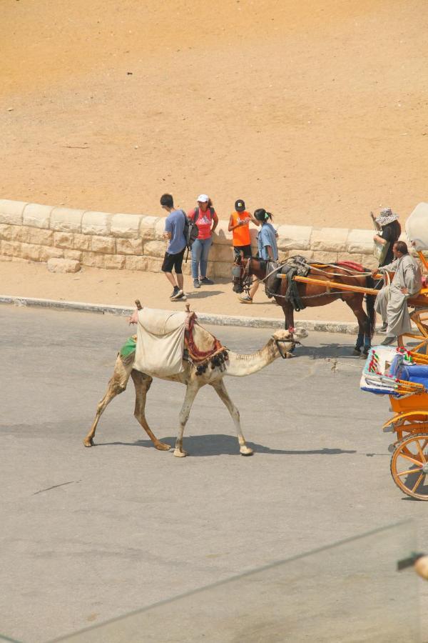 Pyramids Valley Boutique Hotel Kafrat al Jabal Екстер'єр фото
